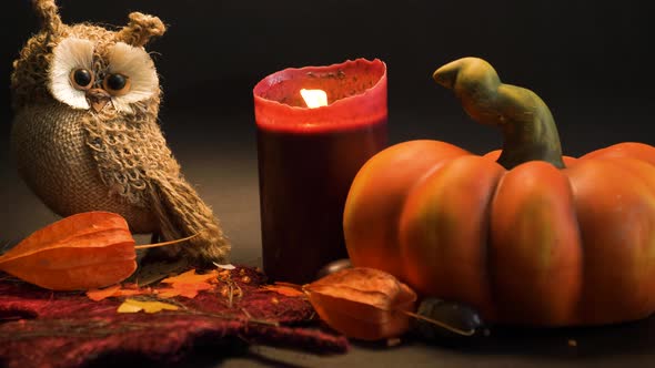 halloween autumn decoration with pumpkin, cute owl and red candle on leaves orange colors on black b