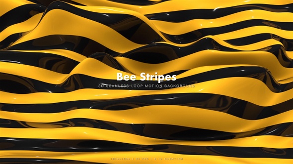 Bee Stripes 12