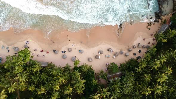 Aerial over idyllic Sri Lanka Beach. Palm trees and waves on sand beach. Tangalle, Sri Lanka