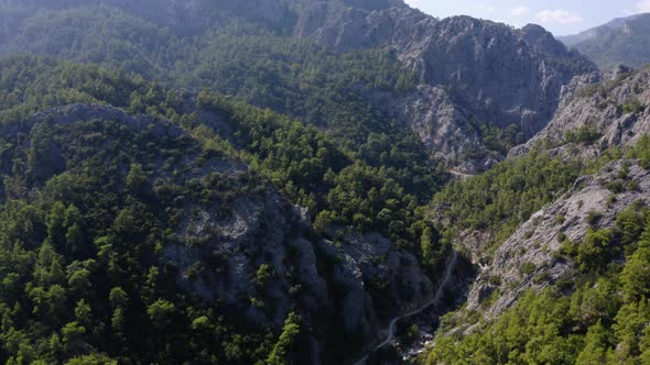 Aerial Drone View of Mountain Peaks Covered with Evergreen Trees