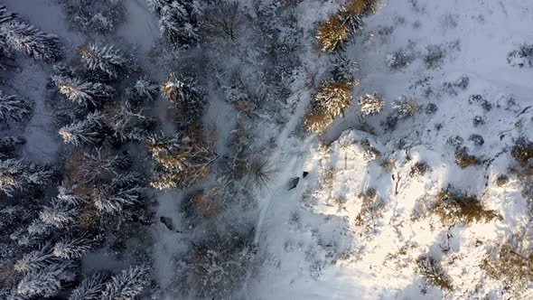 Snowy Forest In The Mountain Near Bialka Tatrzanska At Winter In Tatra County, Poland. - aerial