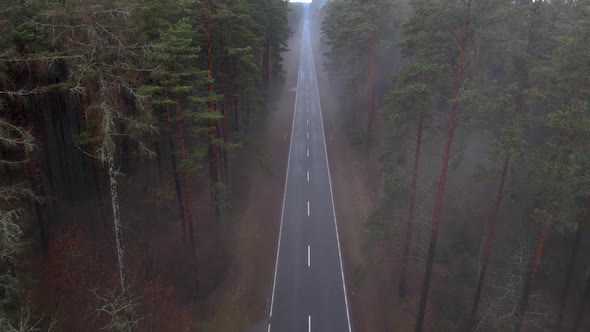 Aerial Autumn Road