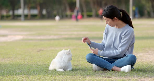 Woman play with her dog and sitting at the green lawn with using cellphone