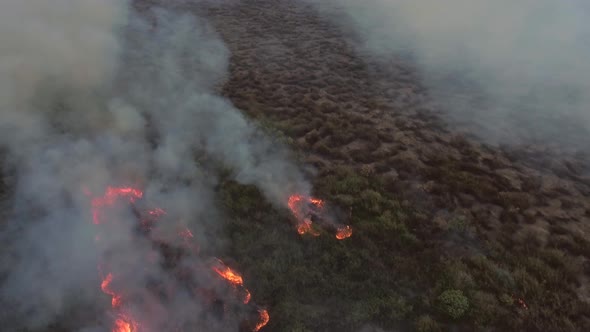 Aerial view above of a small wildfire burning vegetation, Cambodia.