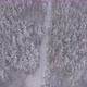 Snow Covered Road In The Forest - VideoHive Item for Sale