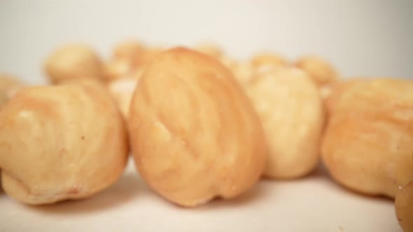 Hazelnuts 03