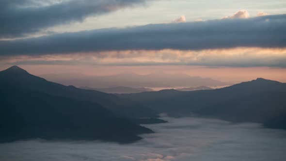 Mountain Fog Forest