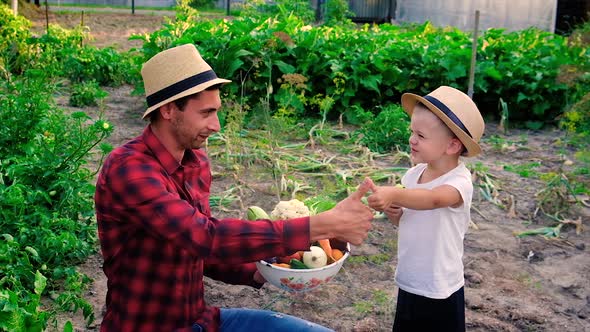 A Man is a Farmer and a Child Harvest of Vegetables in Hands