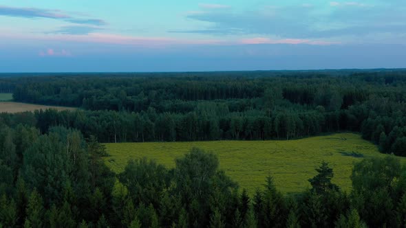 Aerial View of Forest and Rape Field