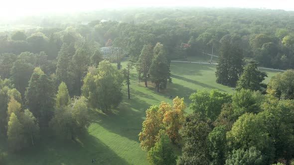 Beautiful flight over the park in summer, Trees with green leaves