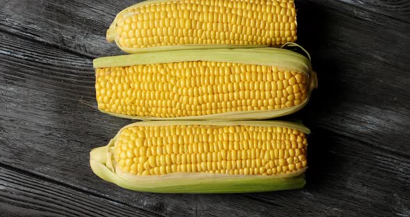 Raw Yellow Corncobs on Table