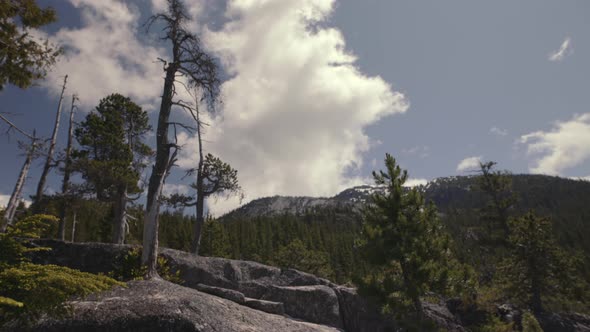 On the peak of Canadian mountain with evergreens and clouds