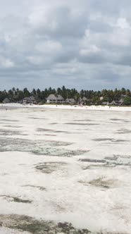 Vertical Video of Low Tide in the Ocean Near the Coast of Zanzibar Tanzania