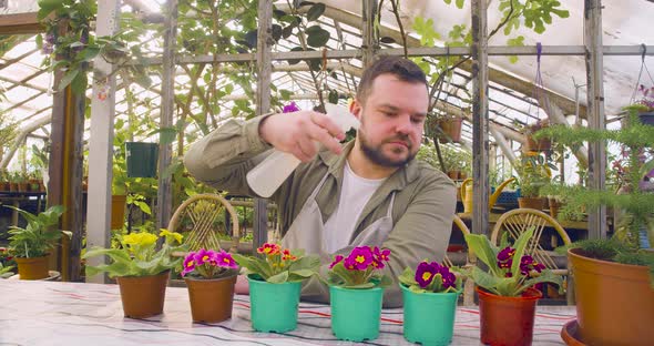 A Man Watering Flowers in a Greenhouse