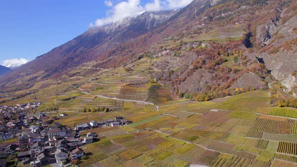 Valais Wine Region Switzerland's Largest Vineyard and Wine Production Area