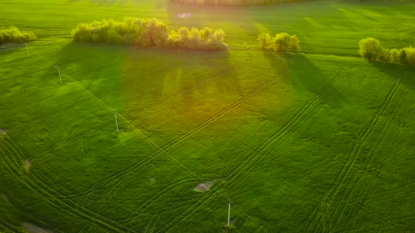 Aerial View of a Green Field and Trees at Sunset