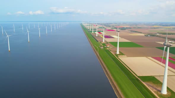Aerial view of offshore wind turbines, endless sea and tulip fields in Netherlands.