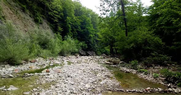 Breathtaking Aerial Flyover the Forest and River in Slow Motion