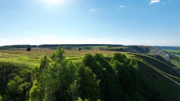 Aerial Video Drone Footage of a Forest and a Green Meadow in Sunny Weather