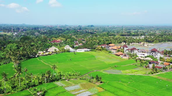 Aerial off the lush green fields and beautiful plant life, expanding far off into the horizon