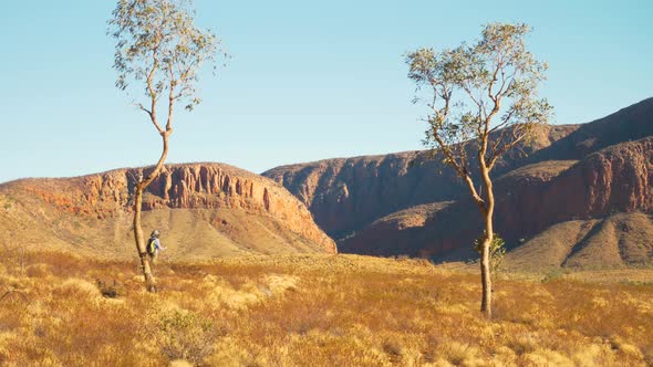 Distant hiker walks past native trees in front of cliffs, Australia