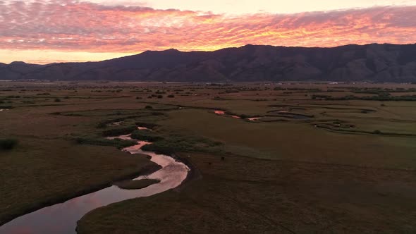 River winding through grassy pasture during colorful sunrise