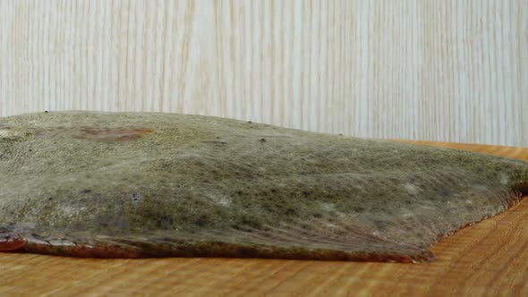 Fish of Flatfish