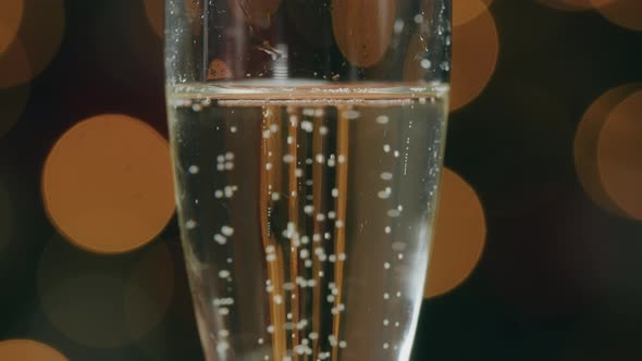 slow motion champagne bubbles in the glass