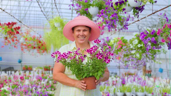 Happy Elderly Woman Florist Stand in Greenhouse Holding a Pot of Flowers in Hands