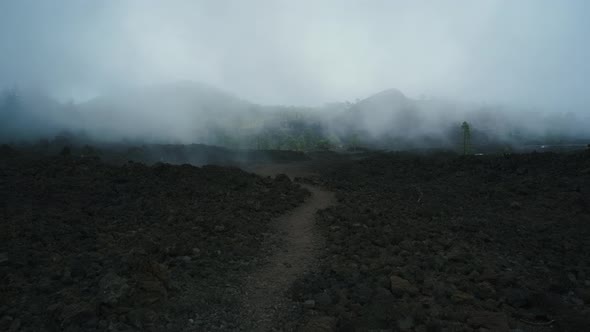 Dramatic Landscape on the Way to the Chineyro Volcano Through a Coniferous Forest on Lava in the