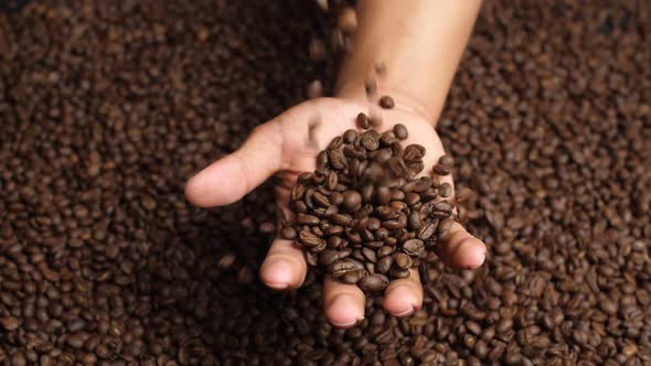 Roasted Coffee Beans Falling To Hand