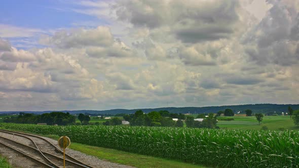 Look Over Fertile Farmlands and Corn Fields on a Summer Day