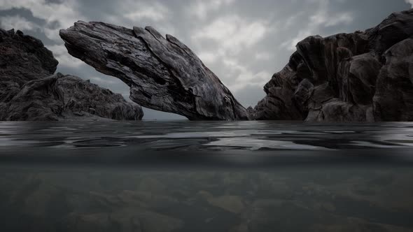 Half Underwater in Northern Sea with Rocks