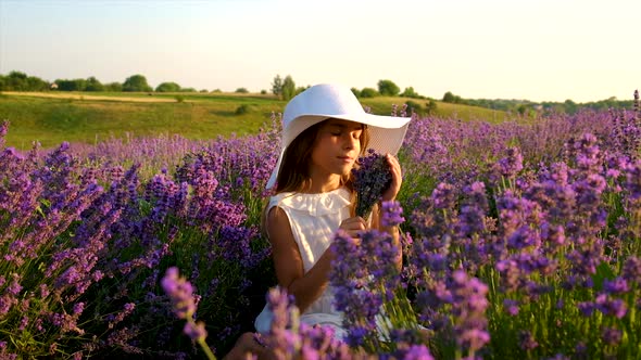 A Child in a Lavender Field