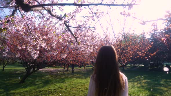 Young woman with long hair enjoys spring garden in bloom. Girl walking in Japanese Garden