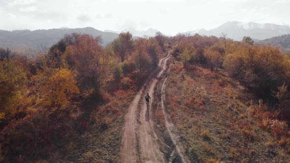 Aerial View of Cyclist in the Mountain Landscape with Autumn Forest