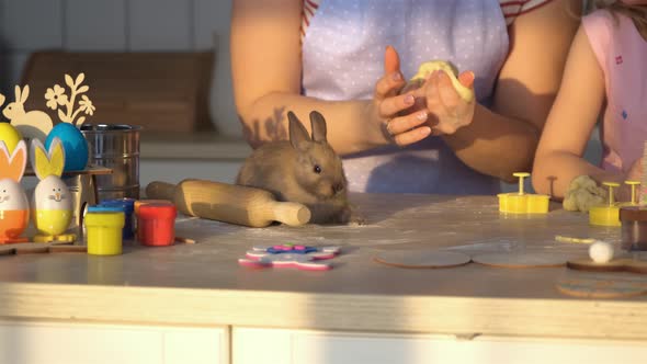 Woman Making Dough While Bunny Eating Greens