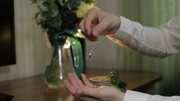Groom in a White Shirt Drops Wedding Rings To the Palm of His Hand. Man Touches the Rings