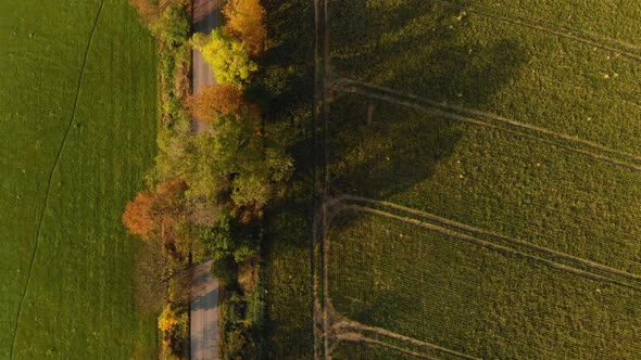 Black car on a trip on autumn road by green fields and trees 