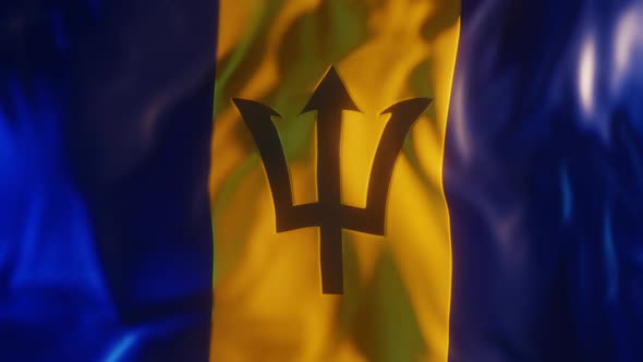 Barbados Flag with Edge Bump