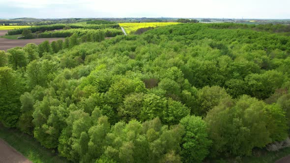 Aerial view of late spring landscape in south Sweden