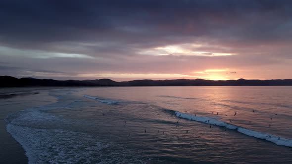 Scenic Ocean With Birds Flying Above Water During Sunset In Spirits Bay, New Zealand - drone static