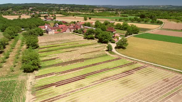 Aerial view of lettuce agriculture in Correze, France.