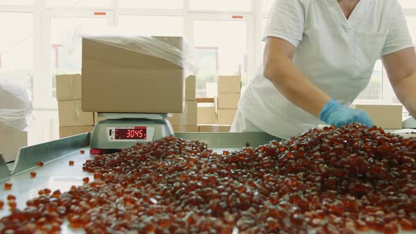 Factory Worker Packing Candies. Candy Factory.