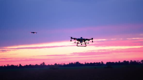 Two Drones Small And Large Agrodron