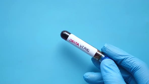 Close Up of Hand Hold Delta Corona Virus Blood Test Tube on Blue Background