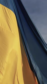 Vertical Video National Flag of Ukraine By Day