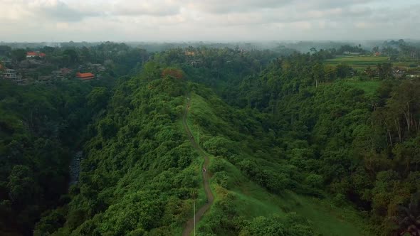 Drone view over tropical nature rice fields