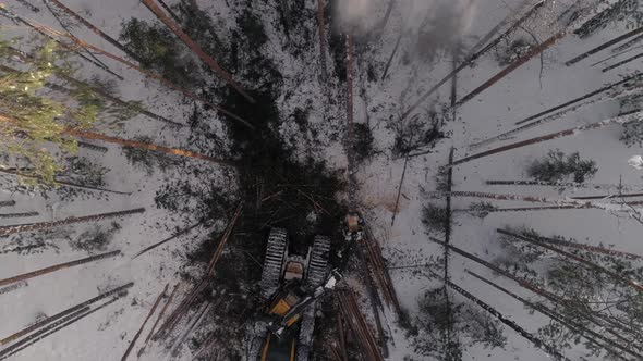 Top down Aerial view of harvester logging a tree in the winter forest 28