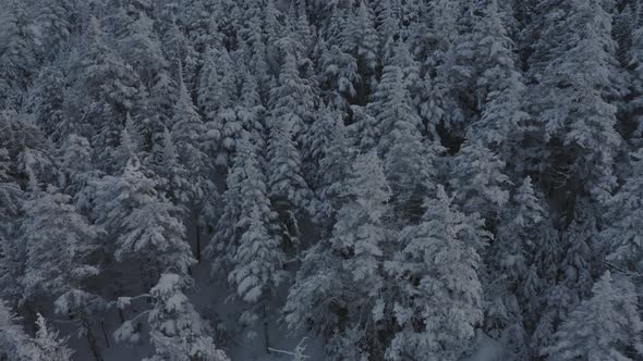 Reveal of the Abandonded ski lift at the peak of a snow covered mountain AERIAL TILT UP